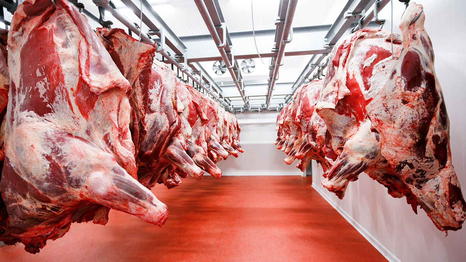 Abattoir & Deboning Software