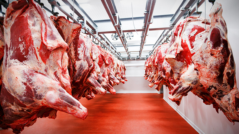 Software for Abattoirs & Deboning Plants