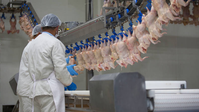 NOUVEM Poultry Processing Software