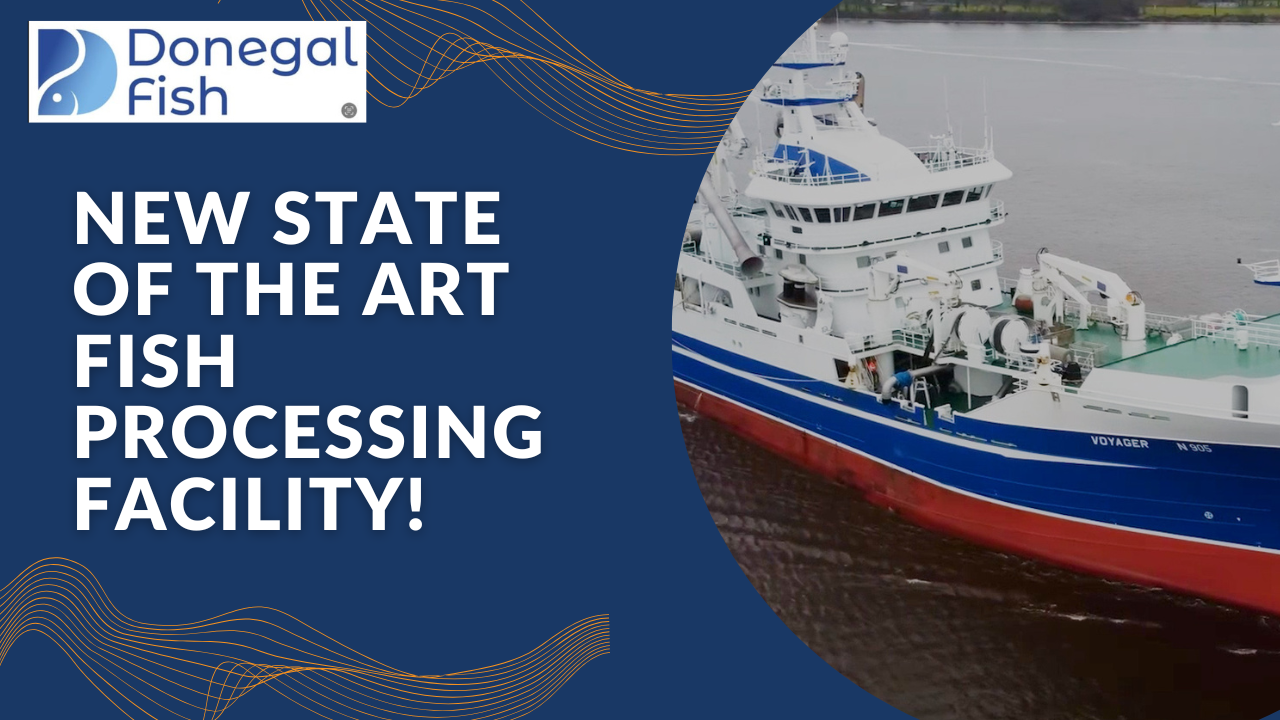 Donegal Fish Processors Go Live with NOUVEM Software at New State-of ...